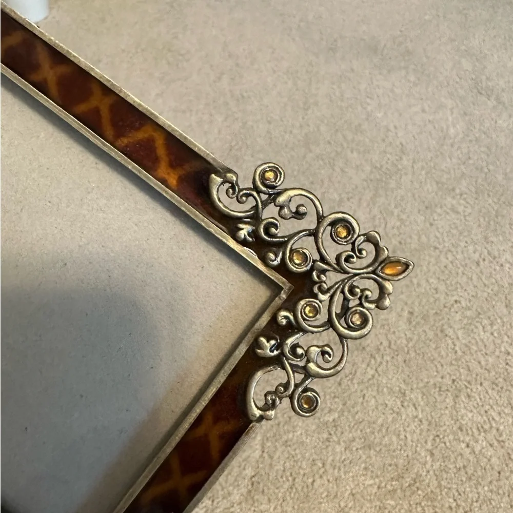 COPY - ADORABLE leopard & metal frames!!